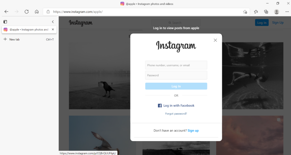 img 60c8541b42603 How to View Instagram Without an Account?